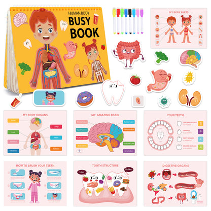 A busy book on body structure