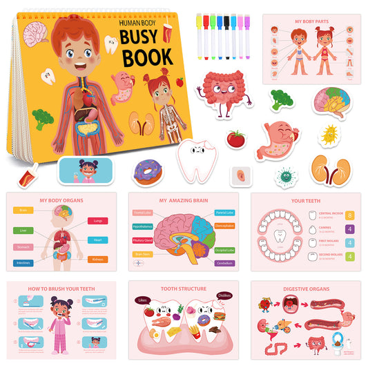 A busy book on body structure
