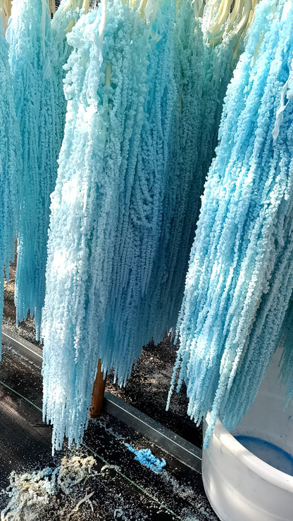 A dried flower eternal flower hanging rice