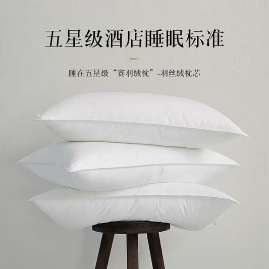 A pillow core pillow