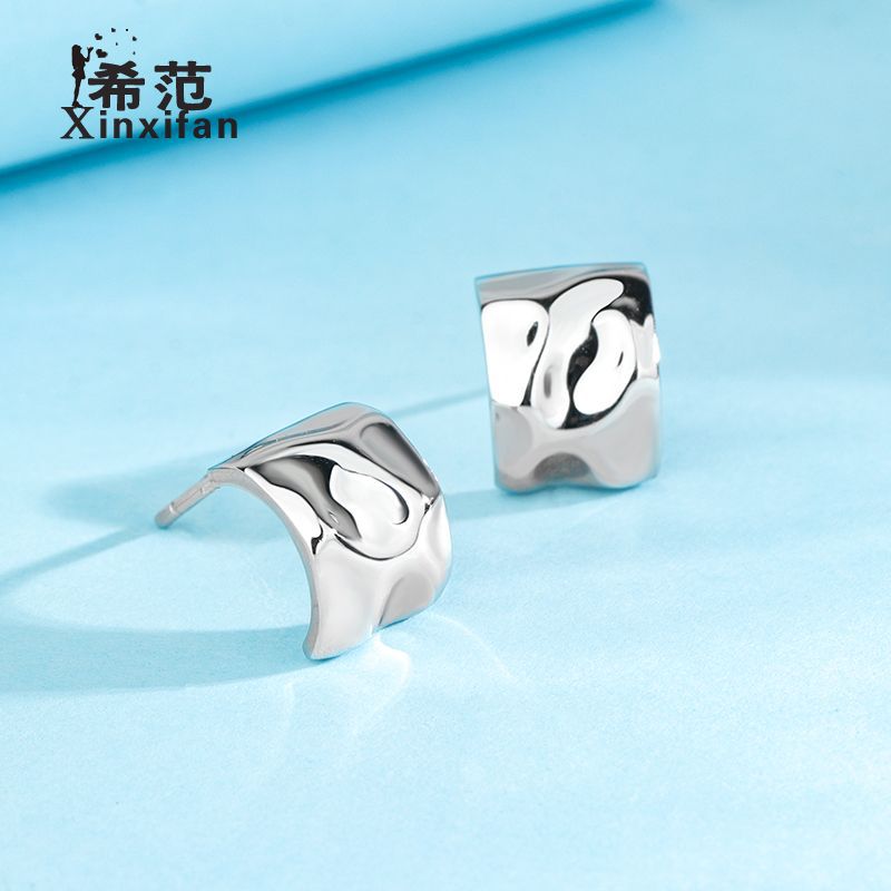A S925 Sterling Silver Earrings