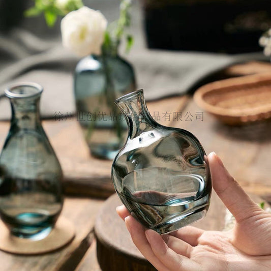 A Nordic simple and creative mini vase ins wind glass water flower cultivator living room desktop decoration small ornament