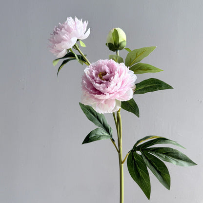 A high-quality simulated three-headed peony, peony home decoration