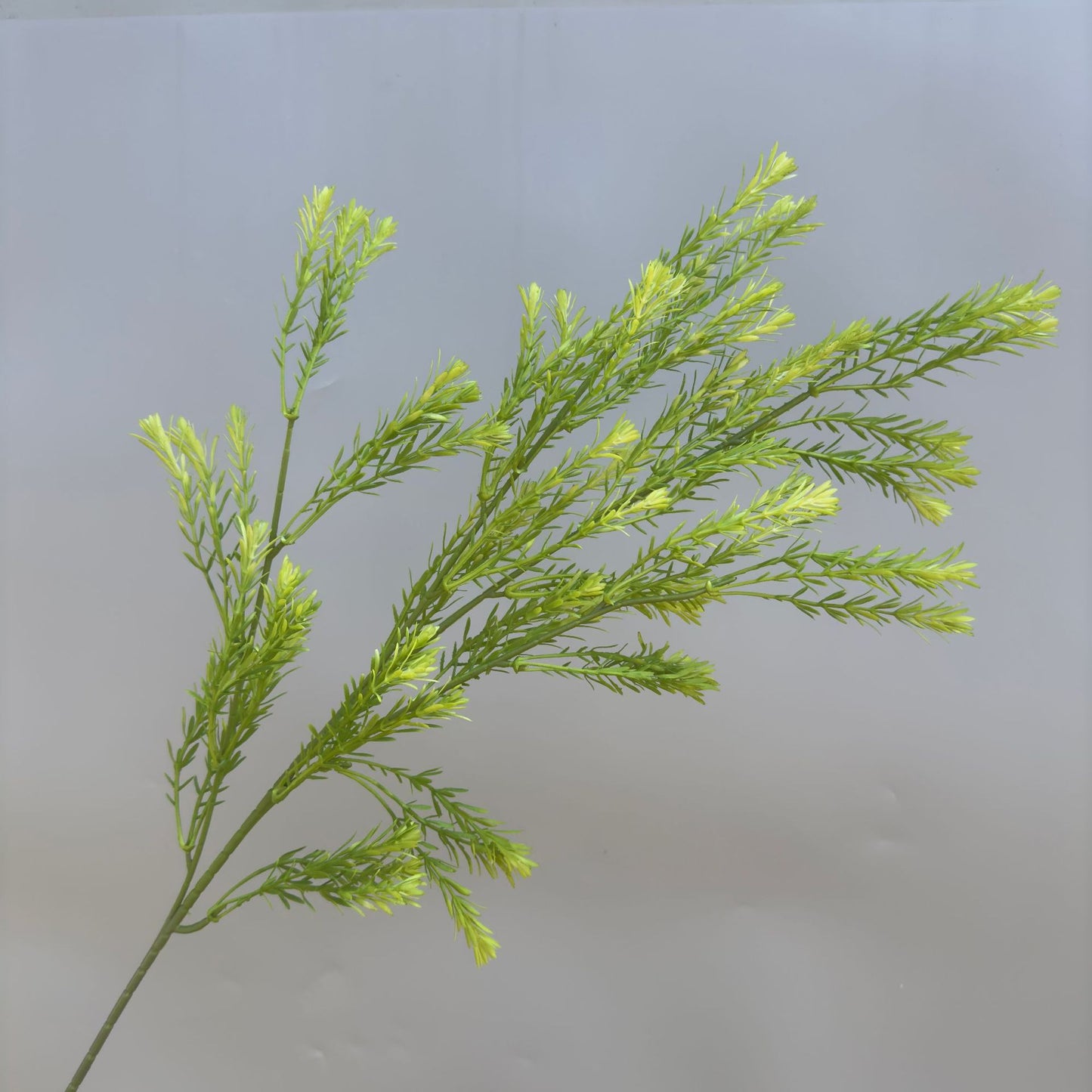 A Mori Monet Garden Simulation Flower Wedding Flower Reed < unk > Grass Fluffy Eucalyptus Green Simulation Flower