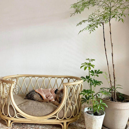 A rattan pet bed