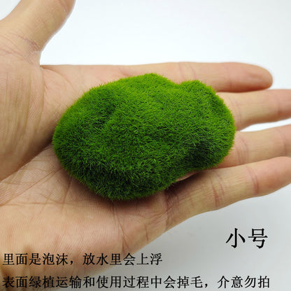 A plant stone model