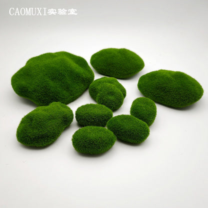 A plant stone model