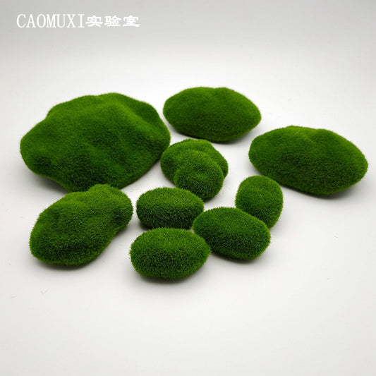A plant stone model
