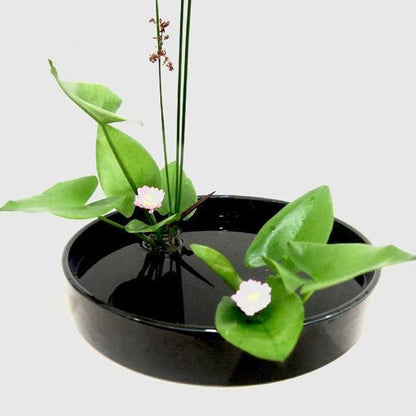 A Plastic flower plate flower arrangement device