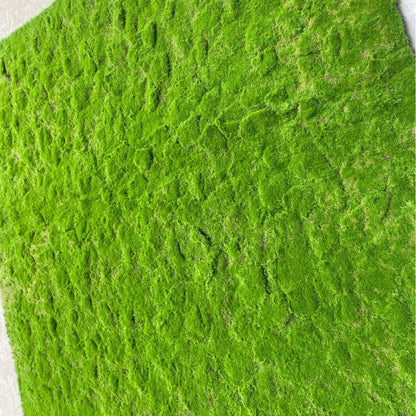 A Plant wall simulation moss green false moss moss micro landscape bonsai landscaping decorative material lawn turf
