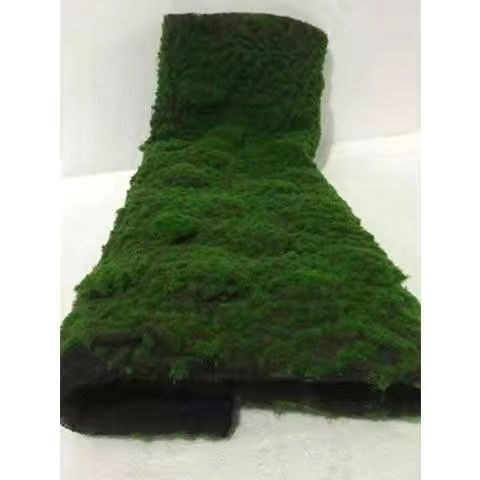 A Plant wall simulation moss green false moss moss micro landscape bonsai landscaping decorative material lawn turf