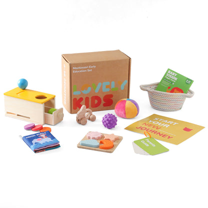 A Baby Early Education Educational Wooden Toys Montessori Teaching Multifunctional Hands-on Brain Shape Cognition Set
