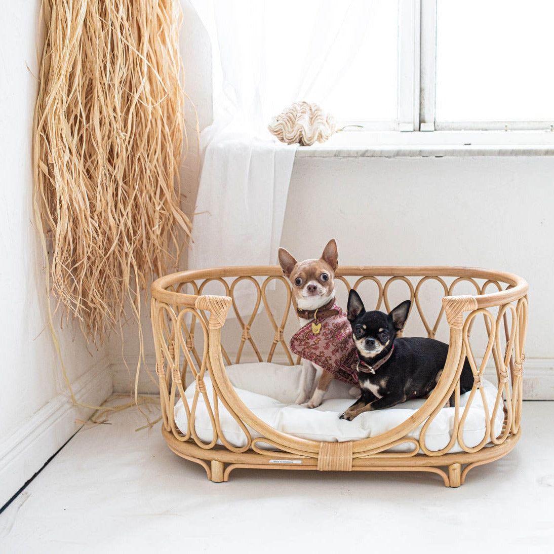 A rattan pet bed