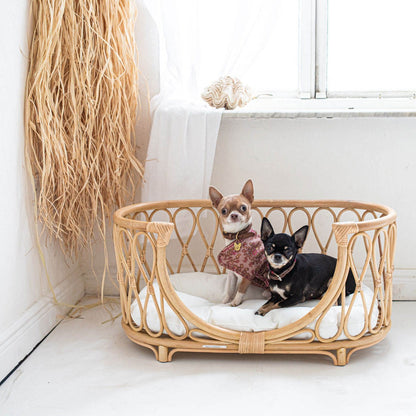 A rattan pet bed