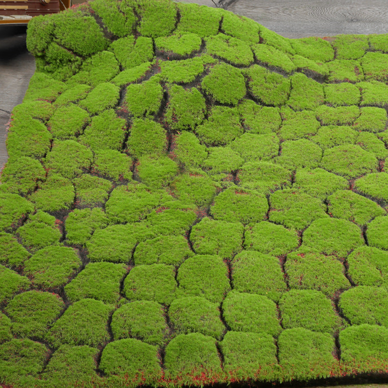 A Plant Wall Simulation Moss False Moss Moss Micro Landscape Bonsai Landscaping Decorative Materials Lawn Turf Wholesale