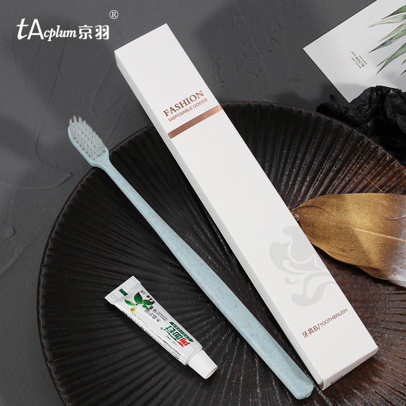 Hotel disposable toiletries dental set B & B hotel disposable slippers