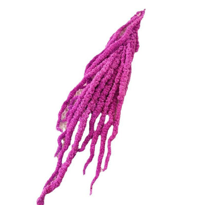 A dried flower eternal flower hanging rice