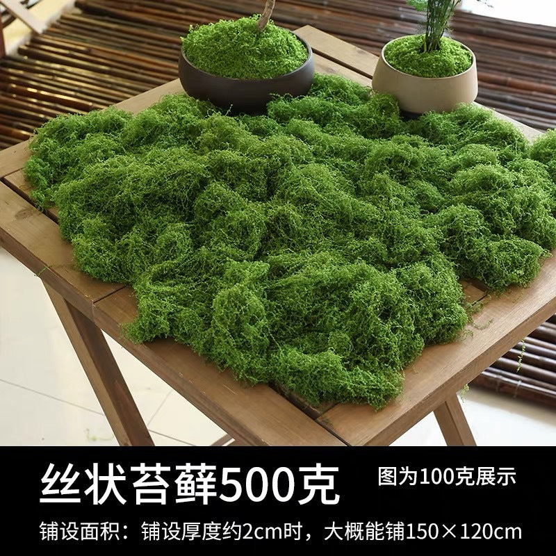 A simulated moss moss gardening plant wall DIY