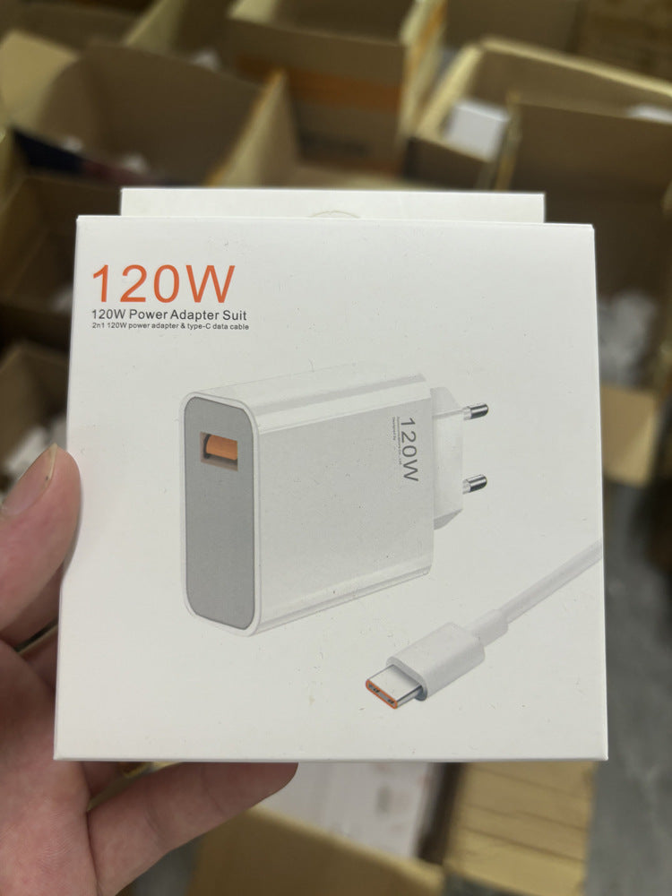 A 67W 120W European Charger