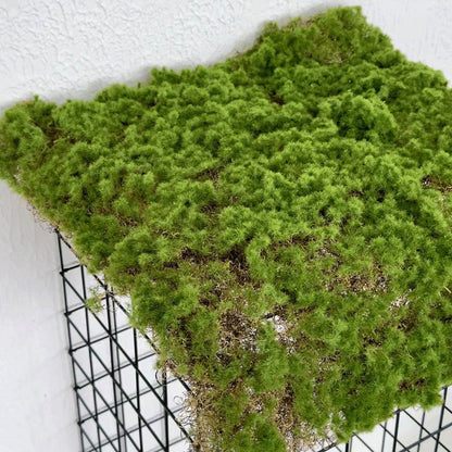 A simulated moss turf green moss micro landscape layout background plant wall decoration material artificial turf lawn