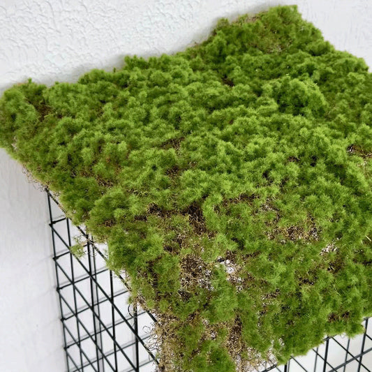 A simulated moss turf green moss micro landscape layout background plant wall decoration material artificial turf lawn