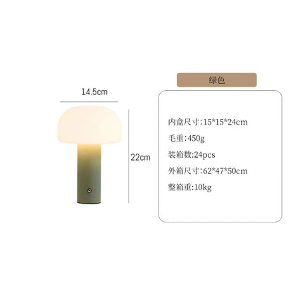 A USB charging lamp