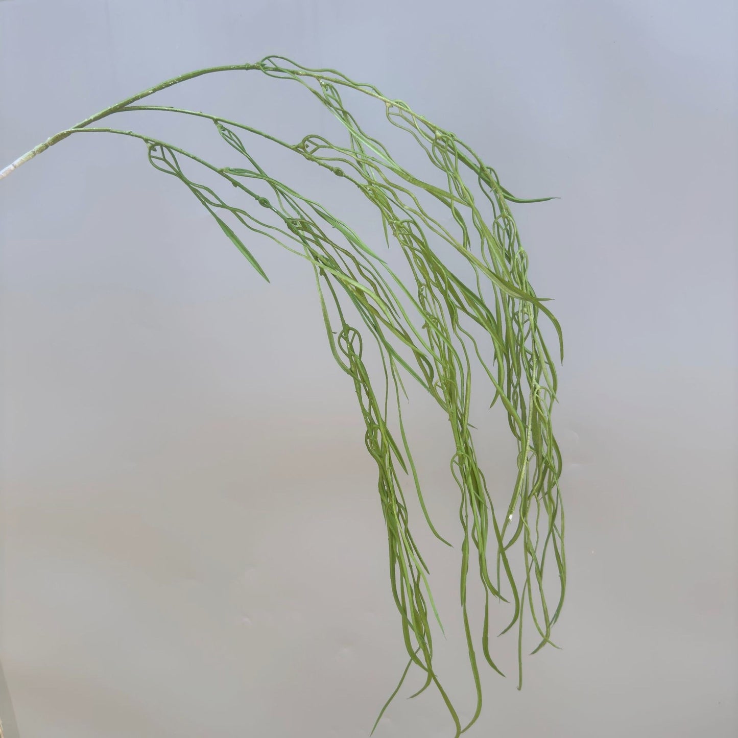 A Mori Monet Garden Simulation Flower Wedding Flower Reed < unk > Grass Fluffy Eucalyptus Green Simulation Flower