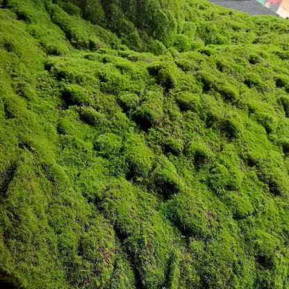 A Plant wall simulation moss green false moss moss micro landscape bonsai landscaping decorative material lawn turf