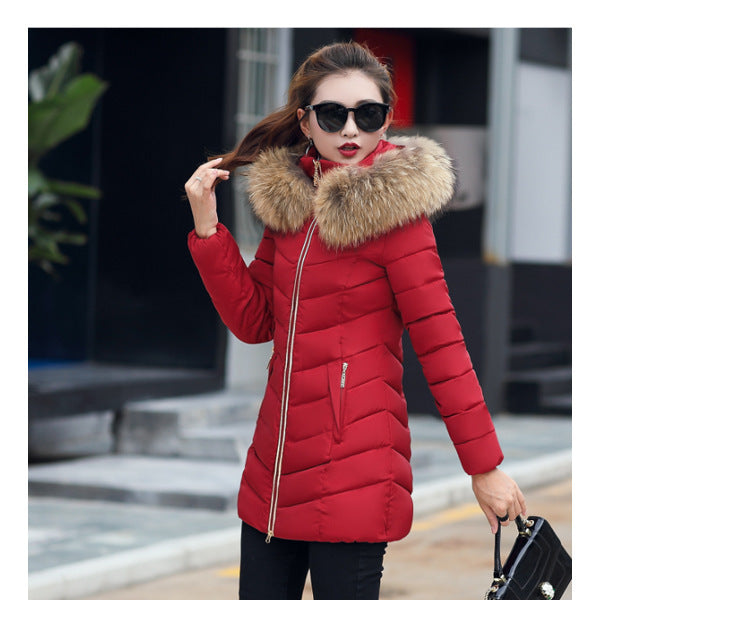 A medium and long coat