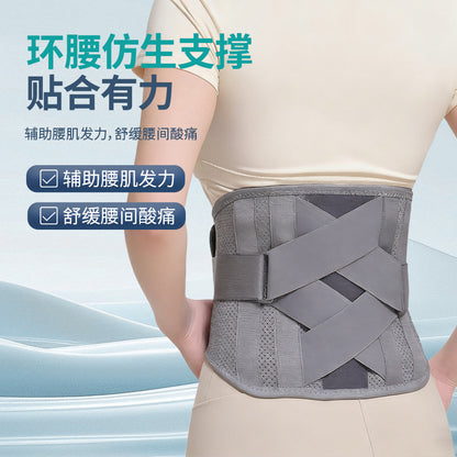 A waist support waist support