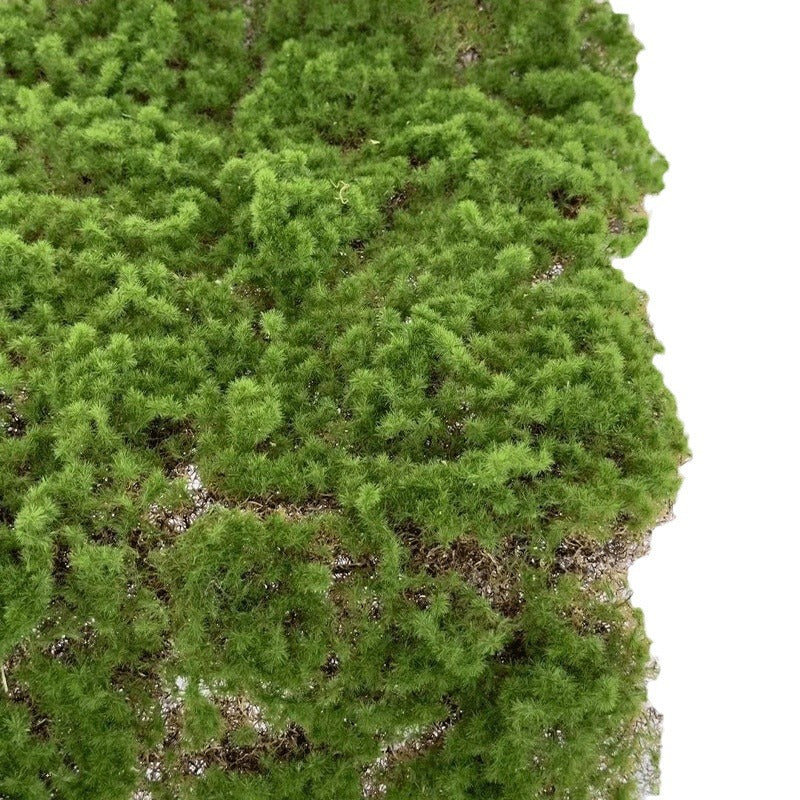 A simulated moss turf green moss micro landscape layout background plant wall decoration material artificial turf lawn