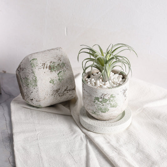 A Old Craft Cement Flower Pot Planting Utensils