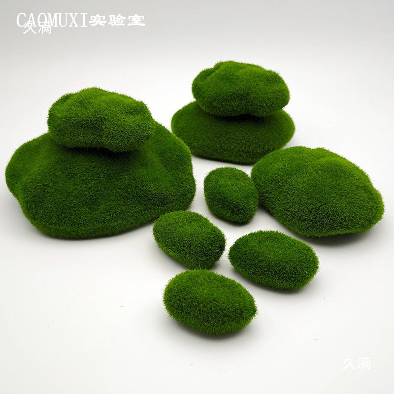 A plant stone model