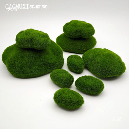 A plant stone model
