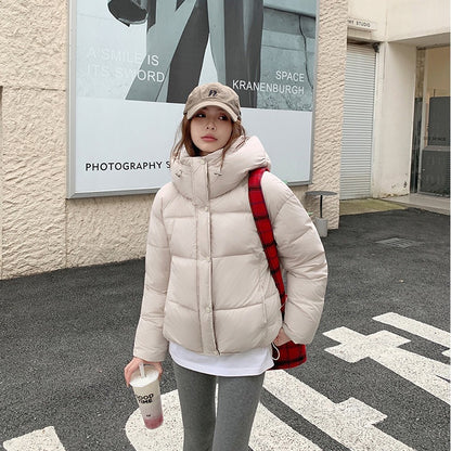 A Winter Warm Jacket
