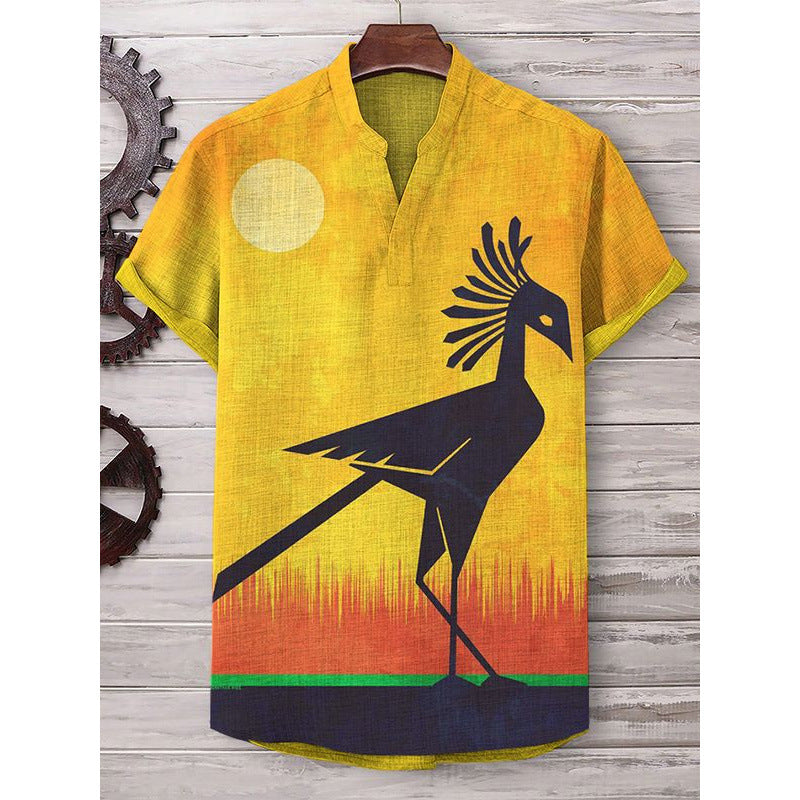 A Printed Short Sleeve V-Neck Shirt