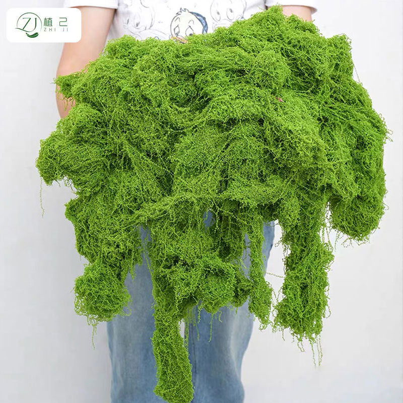 A simulated moss moss gardening plant wall DIY