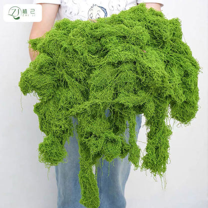 A simulated moss moss gardening plant wall DIY