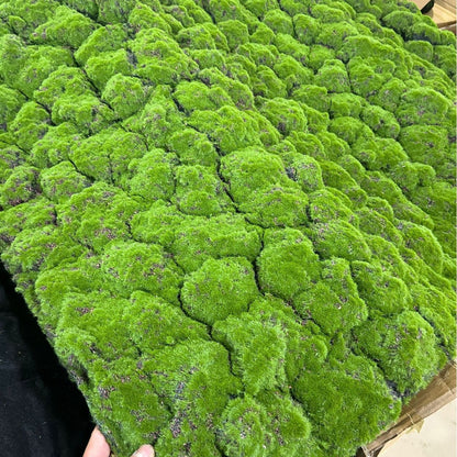 A Plant wall simulation moss green false moss moss micro landscape bonsai landscaping decorative material lawn turf