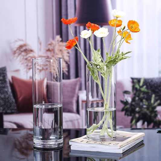 A straight glass vase plant container fish tank ornament