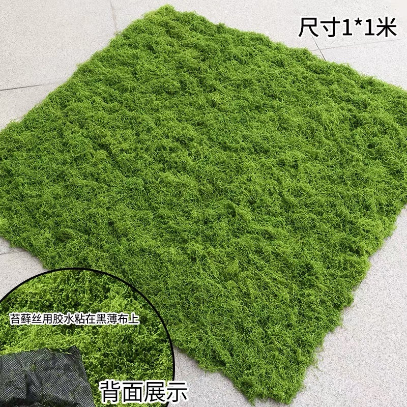 A simulated moss moss gardening plant wall DIY