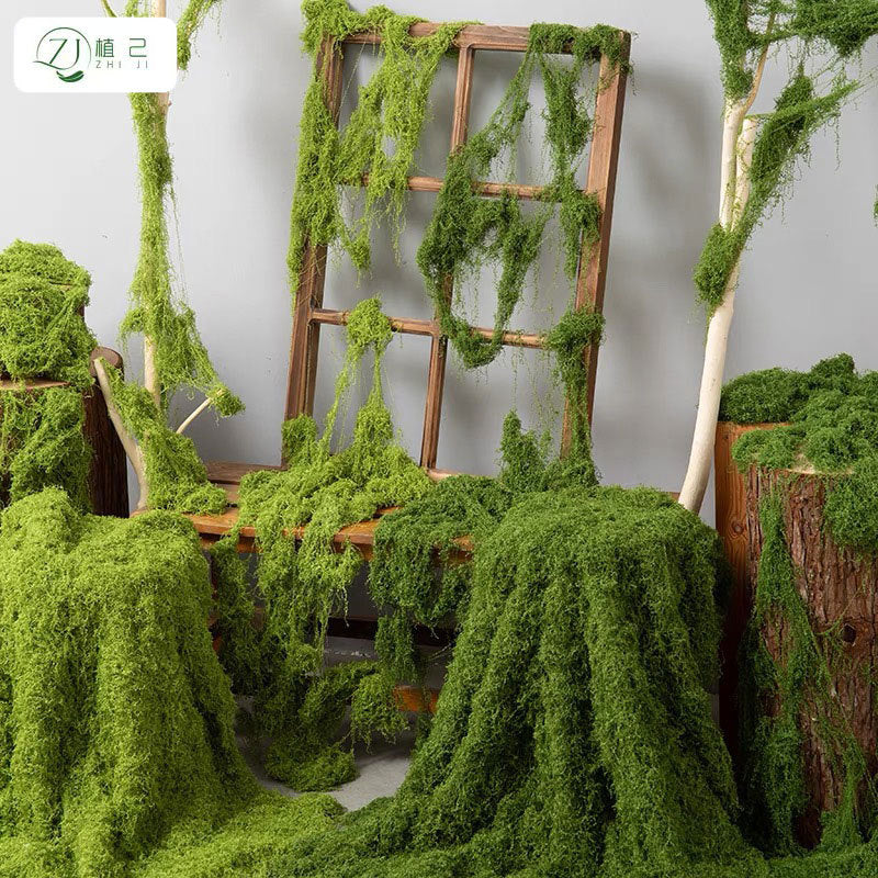 A simulated moss moss gardening plant wall DIY