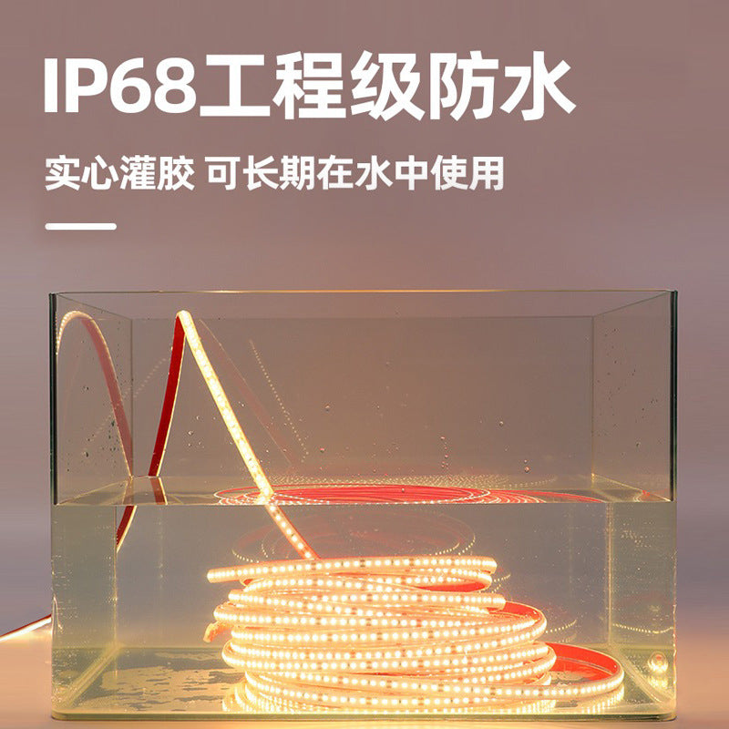 A soaking water led light with outdoor waterproof landscape super bright light strip swimming pool terrace garden silicone flexible linear light