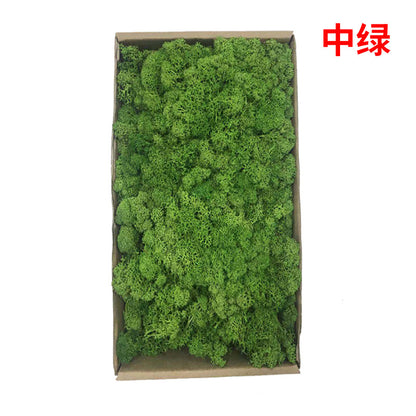 A mossy plant wall landscaping mossy window interior decoration micro landscape immortal flower mossy