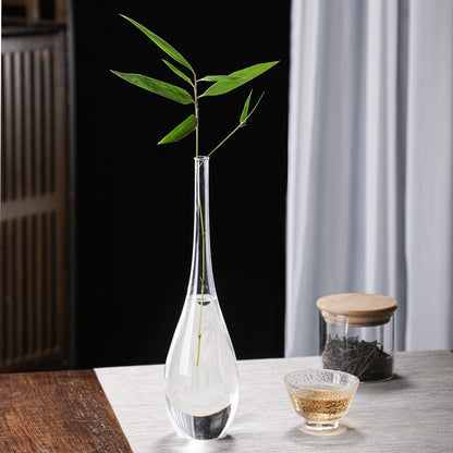 A glass vase transparent water flower cultivator