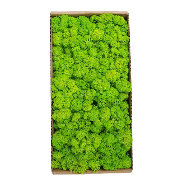 A mossy plant wall landscaping mossy window interior decoration micro landscape immortal flower mossy