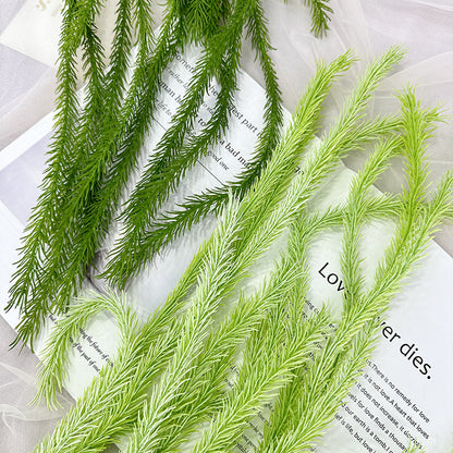 A houndstail hanging large shopping mall event decoration wedding plant wall decoration wall