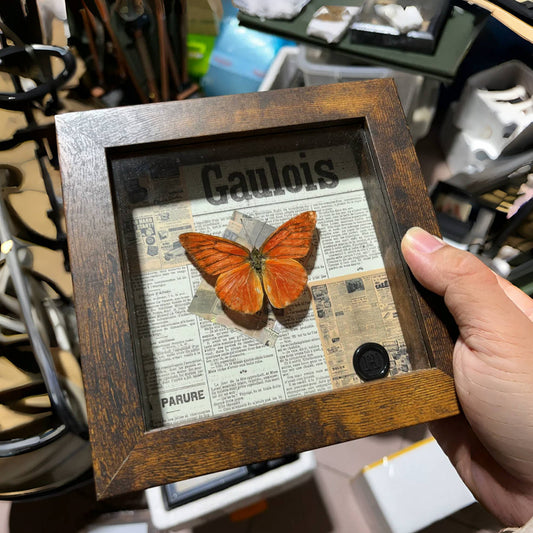 A retro three-dimensional hollow photo frame butterfly insect shell plant specimen frame advanced sense table self-mounting display frame