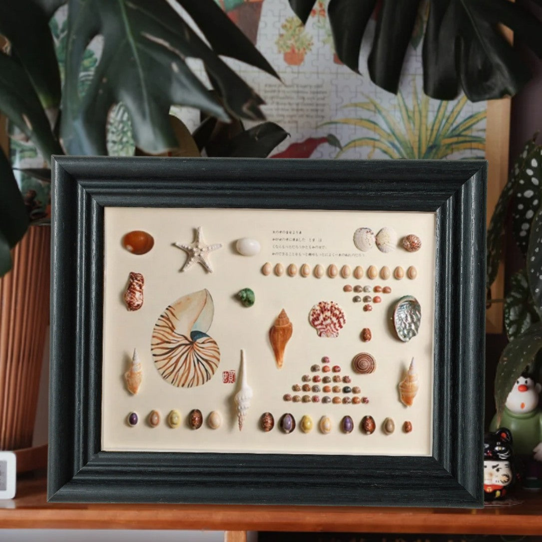 A shell specimen DIY handmade three-dimensional photo frame natural conch mounted display table hanging wall wooden decorative picture frame