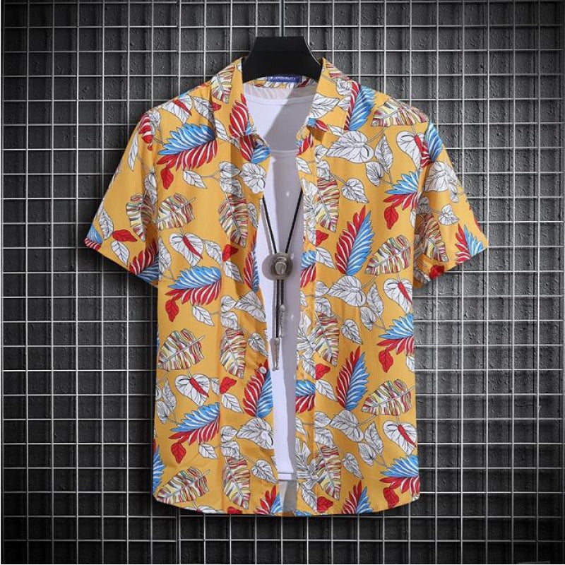 A short-sleeved printed shirt
